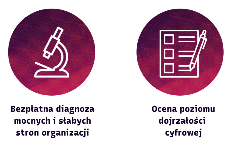 Test Dojrzałości Cyfrowej dla Firm - Digital Festival 2025