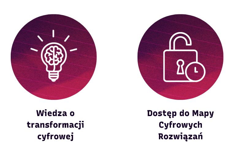 Test Dojrzałości Cyfrowej dla Firm - Digital Festival 2025