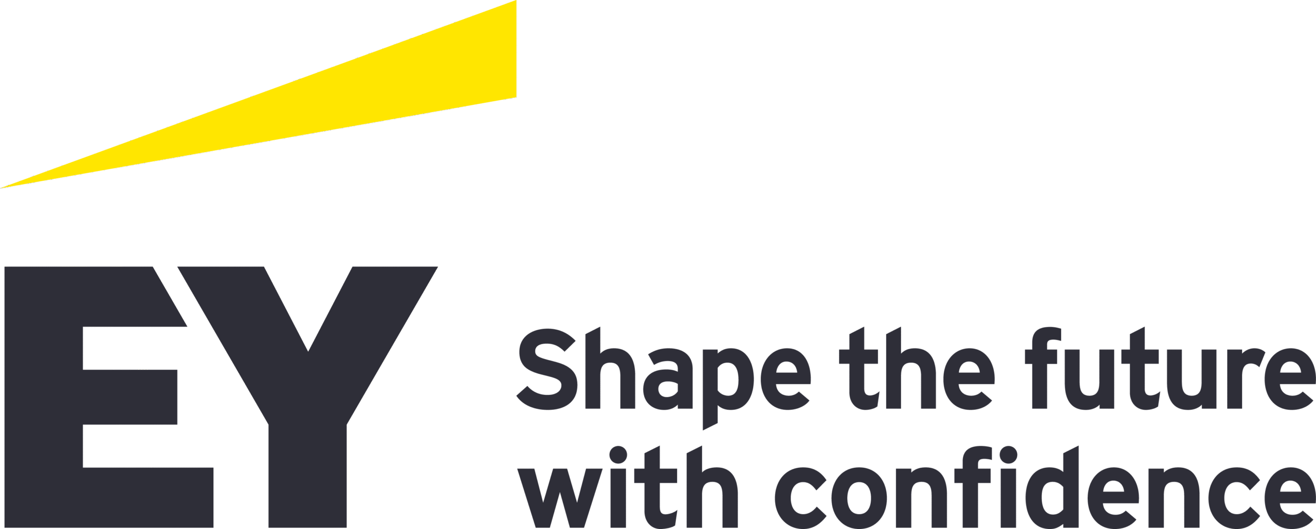 Logo organizatora