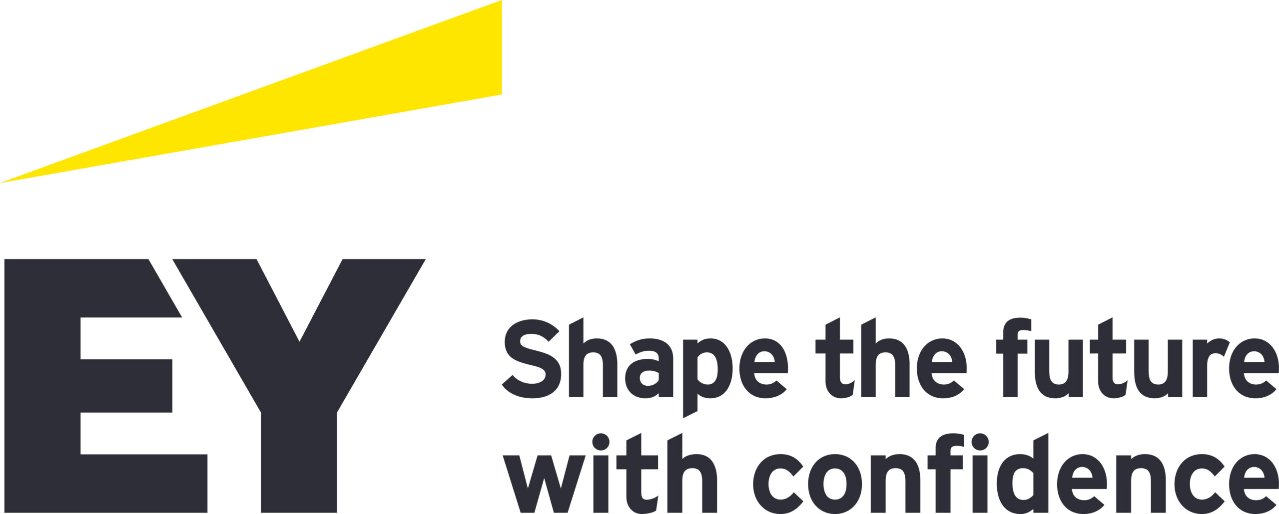 Logo organizatora